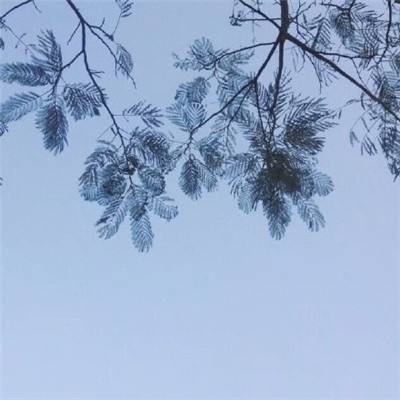 掌上堡垒app下载