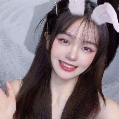 战龟2中文版下载